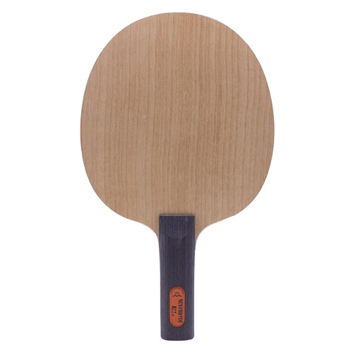 der-materialspezialist-tischtennis-holz-destroyer-allround-1 (1)_1