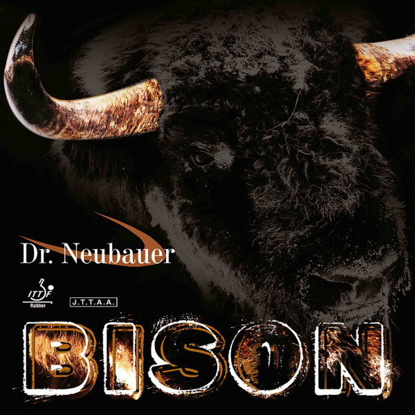 bison_1