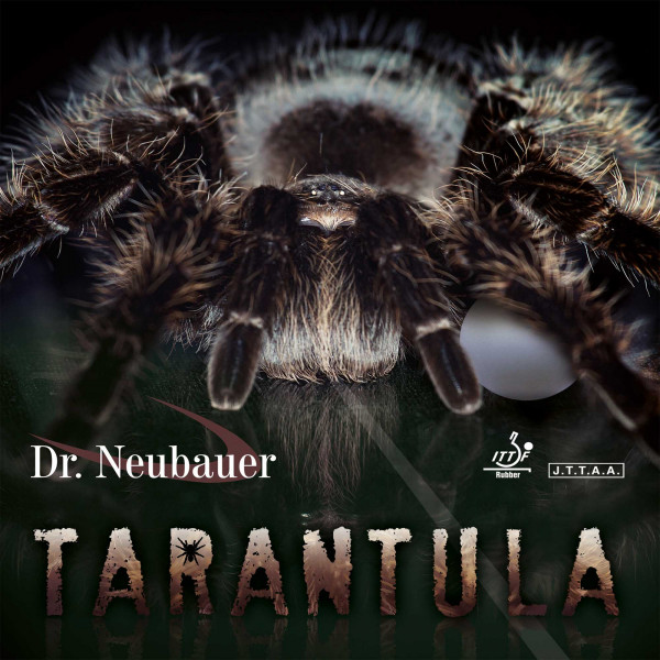 tarantula_1