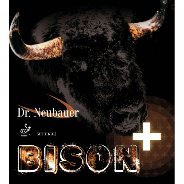 bison+_1